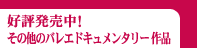 ���̑��̃o���G�h�L�������^���[��i