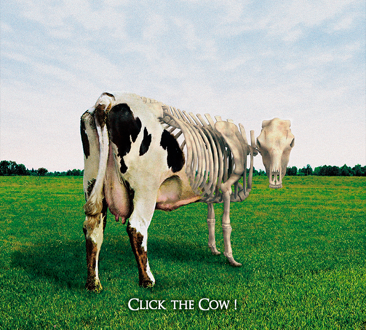 Click the Cow!