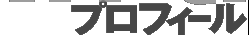 �v���t�B�[��