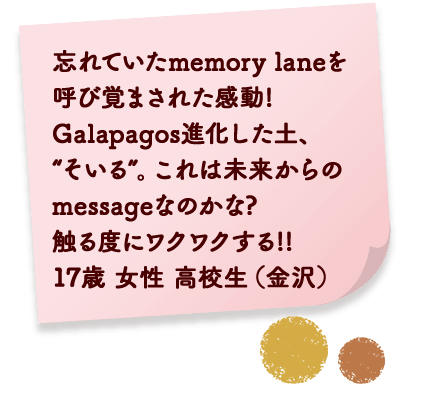 忘れていたmemory laneを呼び覚まされた感動! Galapagos進化した土、“そいる”。これは未来からのmessageなのかな? 触るたびにワクワクする!! 17歳 女性 高校生(金沢)