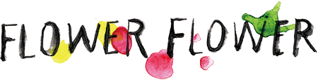 FLOWER FLOWER