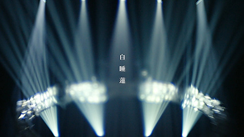 「白睡蓮」MV