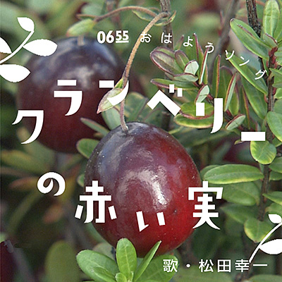 クランベリーの赤い実