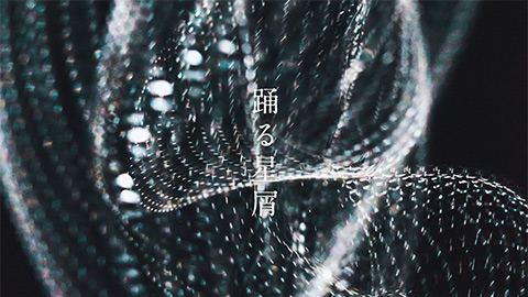 9mm Parabellum Bullet / 踊る星屑