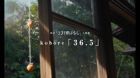 kobore/「36.5」ショートリリックビデオ