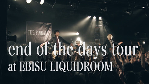 THE PINBALLS/『end of the days tour at EBISU LIQUIDROOM』trailer