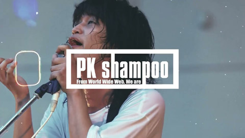 夏に思い出すことのすべて/PK shampoo