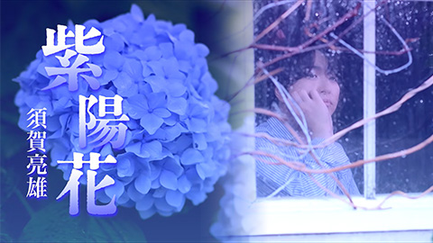 須賀亮雄(すがりょお)/「紫陽花」MV