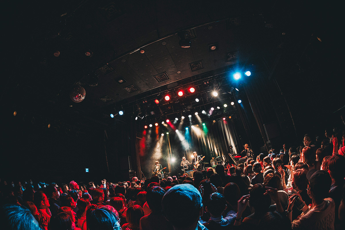 馬の骨ライブ写真(8)