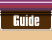 Guide