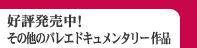 ���̑��̃o���G�h�L�������^���[��i