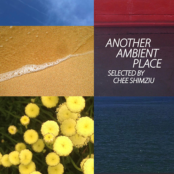 J-DIGS: Another Ambienr Place:selected by Chee Shimizu