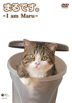 日本コロムビア | DVD『まるです。-I am Maru-』2010年2月24日発売