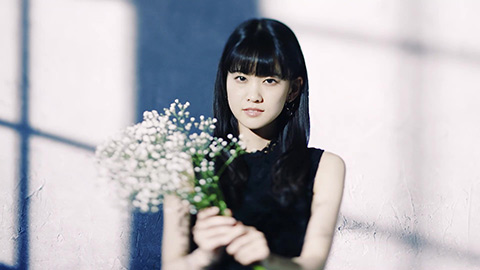 大西亜玖璃/Elder flower