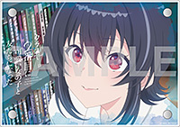 ソフマップ・アニメガ：2層アクリルスタンド(B6サイズ)