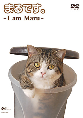 まるです。-I am Maru-