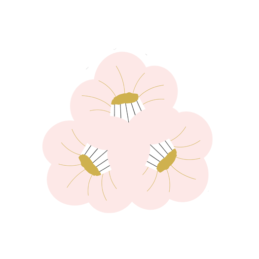 「Sakura Sessions」