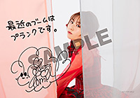 玉光堂・バンダレコード/ライオン堂:ブロマイド