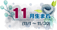 11月生まれ