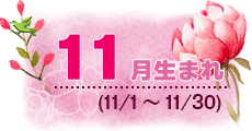 11月生まれ