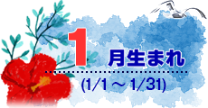 1月生まれ