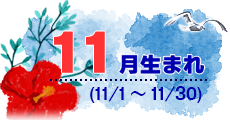 11月生まれ