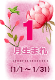 1月生まれ