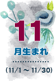 11月生まれ