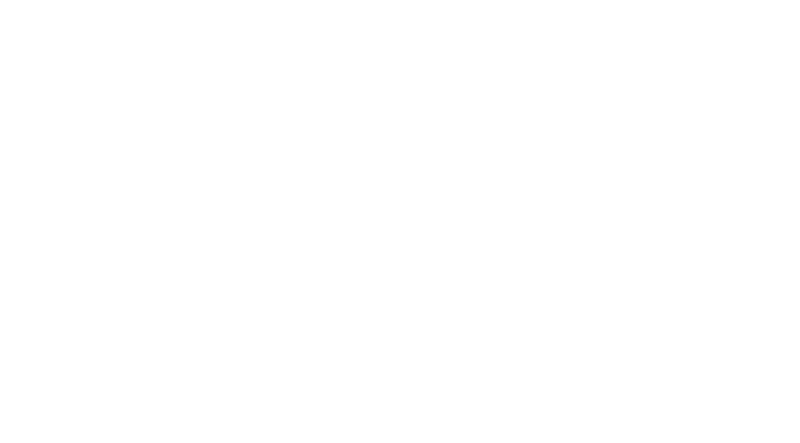 Vinyl Journey