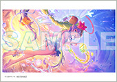 ゲーマーズ:ブロマイド(アメス絵柄)